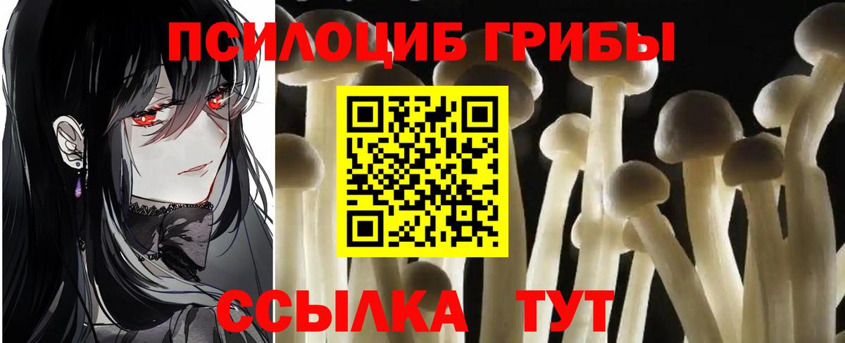 Фролово  Псилоцибиновые грибы Cubensis  Вход с VPN  Галлюциногенные грибы прущие грибы 