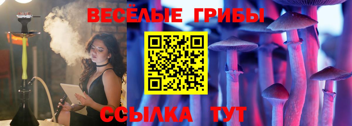 Галлюциногенные грибы GOLDEN TEACHER Фролово